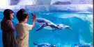 Istanbul SEA LIFE Aquarium Tickets Istanbul SEA LIFE Aquarium Tickets
