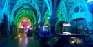 SEA LIFE Brighton Tickets SEA LIFE Brighton Tickets