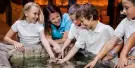SEA LIFE Brighton Tickets SEA LIFE Brighton Tickets