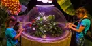 SEA LIFE Brighton Tickets SEA LIFE Brighton Tickets