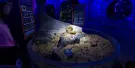 SEA LIFE Brighton Tickets SEA LIFE Brighton Tickets