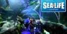 SEA LIFE Charlotte Concord Tickets SEA LIFE Charlotte Concord Tickets