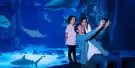 SEA LIFE Grapevine Aquarium Tickets SEA LIFE Grapevine Aquarium Tickets
