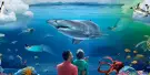 SEA LIFE Kelly Tarlton's Aquarium Auckland Tickets SEA LIFE Kelly Tarlton's Aquarium Auckland Tickets