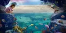 SEA LIFE Kelly Tarlton's Aquarium Auckland Tickets SEA LIFE Kelly Tarlton's Aquarium Auckland Tickets