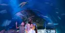 SEA LIFE Grapevine Aquarium Tickets SEA LIFE Grapevine Aquarium Tickets