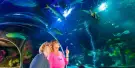 SEA LIFE Munich Aquarium Tickets SEA LIFE Munich Aquarium Tickets