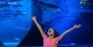 SEA LIFE New Jersey Tickets SEA LIFE New Jersey Tickets