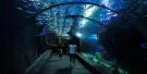 SEA LIFE Bangkok Ocean World Tickets SEA LIFE Bangkok Ocean World Tickets