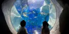 SEA LIFE Paris Aquarium Tickets SEA LIFE Paris Aquarium Tickets