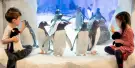 SEA LIFE Paris Aquarium Tickets SEA LIFE Paris Aquarium Tickets