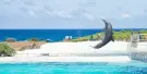 Sea Life Park Hawaii Tickets Sea Life Park Hawaii Tickets