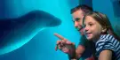 SEA LIFE Sunshine Coast Aquarium Tickets SEA LIFE Sunshine Coast Aquarium Tickets