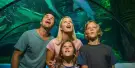 SEA LIFE Sunshine Coast Aquarium Tickets SEA LIFE Sunshine Coast Aquarium Tickets