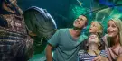 SEA LIFE Sunshine Coast Aquarium Tickets SEA LIFE Sunshine Coast Aquarium Tickets