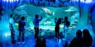 SEA LIFE Sydney Aquarium Tickets SEA LIFE Sydney Aquarium Tickets