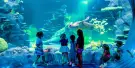 SEA LIFE Sydney Aquarium Tickets SEA LIFE Sydney Aquarium Tickets