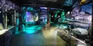 SEA LIFE Sydney Aquarium Tickets SEA LIFE Sydney Aquarium Tickets