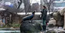 Central Park Zoo Tickets Central Park Zoo Tickets