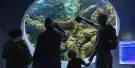 Seattle Aquarium Tickets Seattle Aquarium Tickets
