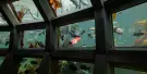 Seattle Aquarium Tickets Seattle Aquarium Tickets