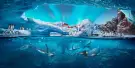 SeaWorld Abu Dhabi Tickets SeaWorld Abu Dhabi Tickets