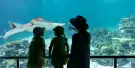 Sea World Tickets Sea World Tickets