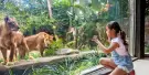 Bali Zoo Tickets Bali Zoo Tickets