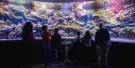 Sevilla Aquarium Tickets