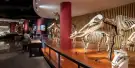 Shanghai Natural History Museum Tickets