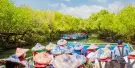 Sicao Green Tunnel Tickets