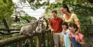 Singapore Zoo Tickets Singapore Zoo Tickets