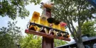Six Flags Fiesta Texas Tickets