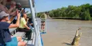 Spectacular Jumping Crocodile Cruise Tickets Spectacular Jumping Crocodile Cruise Tickets