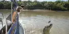 Spectacular Jumping Crocodile Cruise Tickets Spectacular Jumping Crocodile Cruise Tickets