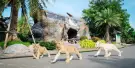 Sriayuthaya Lion Park Tickets