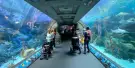 Aquarium of the Pacific Tickets Aquarium of the Pacific Tickets