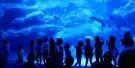 Sumida Aquarium Tickets