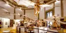 Museum Leonardo Da Vinci Experience Tickets Museum Leonardo Da Vinci Experience Tickets