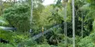 Tamborine Rainforest Skywalk Tickets Tamborine Rainforest Skywalk Tickets