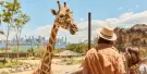Taronga Zoo Sydney Tickets Taronga Zoo Sydney Tickets