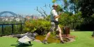Taronga Zoo Sydney Tickets Taronga Zoo Sydney Tickets