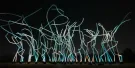 TeamLab Phenomena Abu Dhabi Tickets TeamLab Phenomena Abu Dhabi Tickets