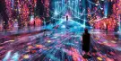 TeamLab Phenomena Abu Dhabi Tickets TeamLab Phenomena Abu Dhabi Tickets