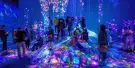 teamLab Planets Tokyo Tickets teamLab Planets Tokyo Tickets