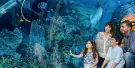 The Lost Chambers Aquarium Tickets The Lost Chambers Aquarium Tickets