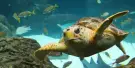 The Florida Aquarium Tickets The Florida Aquarium Tickets