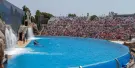 SeaWorld San Diego Tickets SeaWorld San Diego Tickets