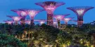 Gardens by The Bay Tickets Gardens by The Bay Tickets