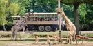 Thoiry ZooSafari Tickets Thoiry ZooSafari Tickets